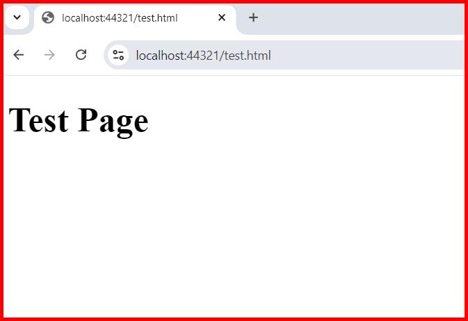 Picture showing browsing the HTML page when static file middle ware is enabled
